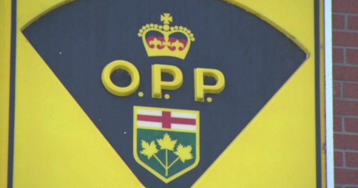 Details scarce as Ontario set to buy 4 new police helicopters [Video]