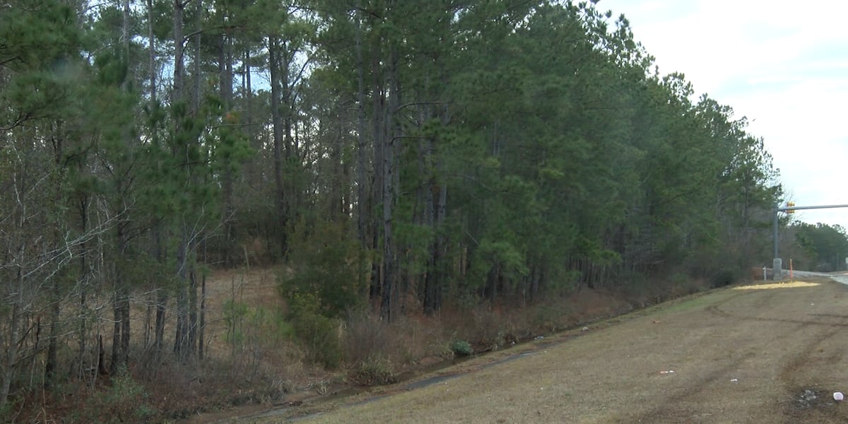 Brunswick County commissioners to ask state for authority to regulate trees [Video]