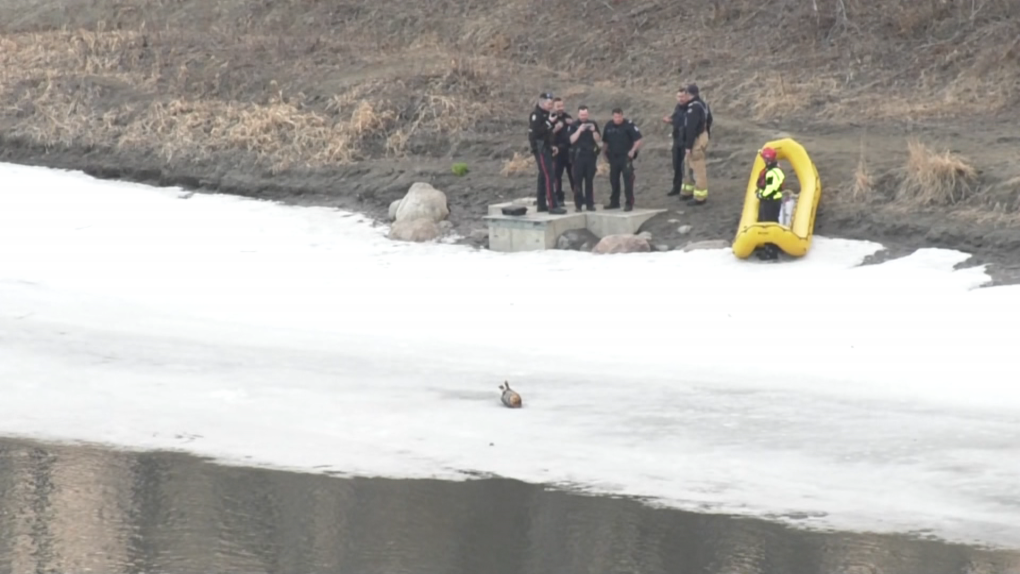 Emergency crews search for woman who fell into Edmonton river [Video]