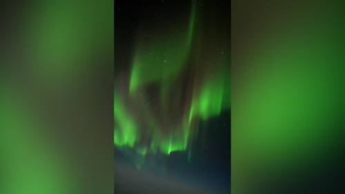 Spectacular northern lights treat plane passengers to stunning show [Video]