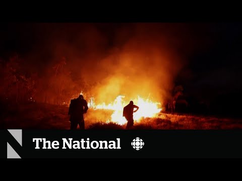 Record wildfires in the Amazon in February. That’s not normal [Video]