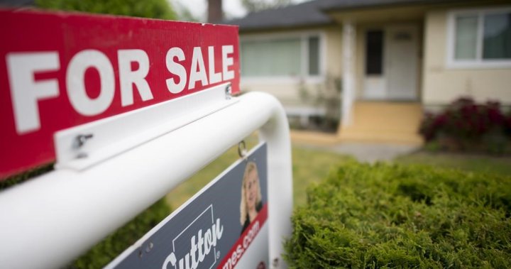 B.C. government introduces new home-flipping tax legislation [Video]