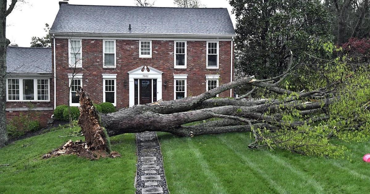 Storms bear down on New England and East Coast as severe weather persists across the US [Video]