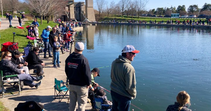 Youth try to hook Walter at 35th Under the Lock Fishing Derby in Peterborough [Video]