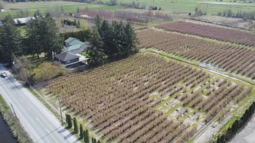 Questions about 2 deaths in as many years on Pitt Meadows rural property [Video]