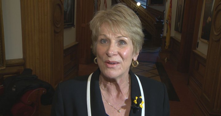 New N.B. rehab facility for voluntary not forced treatment, addictions minister says – New Brunswick [Video]