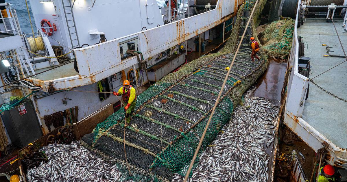 Western Alaska tribes, outraged by bycatch, turn up the heat on fishery managers and trawlers [Video]