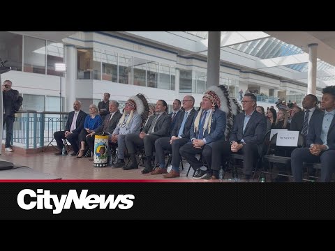 Province announces plans for Health-Care Centre of Excellence [Video]