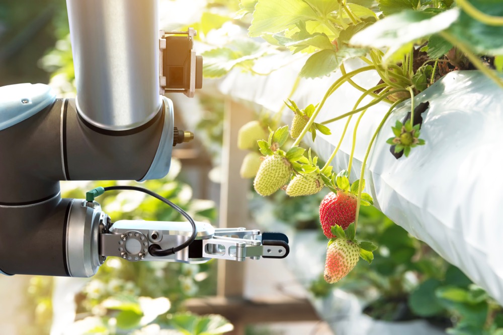 Feds fund agriculture and food processing robotics projects [Video]