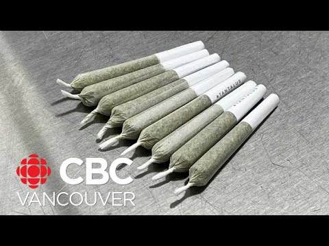 Surrey, B.C., will soon start accepting applications for cannabis stores [Video]