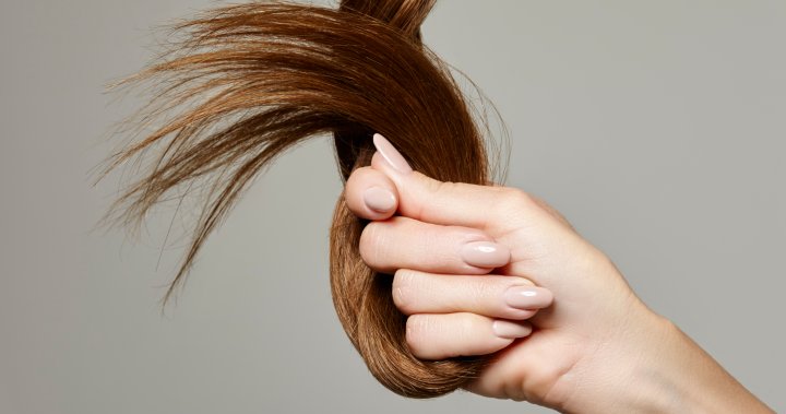 Lets talk about womens hair loss (and how to prevent it) – National [Video]