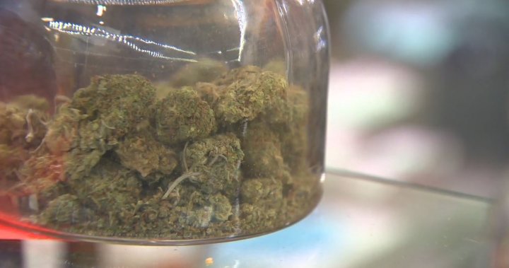 Cannabis stores coming to Surrey, council unanimously approves framework – BC [Video]