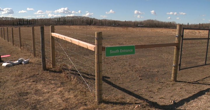 Strathcona County approval of new Crusaders arena spells end for 150-year-old farm – Edmonton [Video]