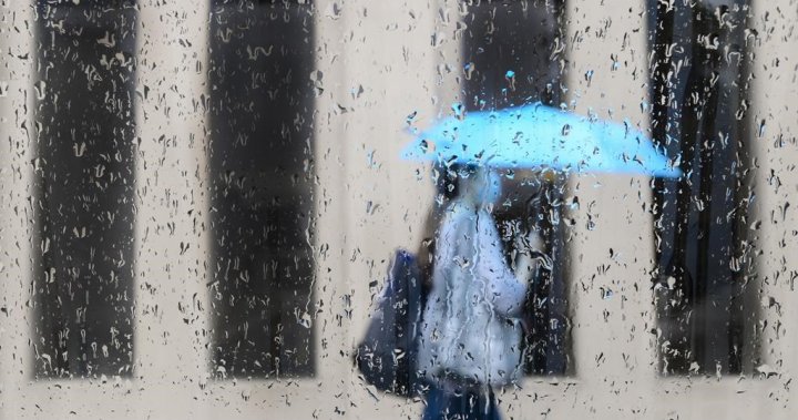 Stay away from bodies of water: Toronto expected to get significant rainfall – Toronto [Video]