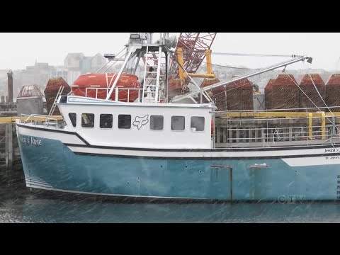 Why crab fishers in Newfoundland and Labrador are staying ashore this season [Video]