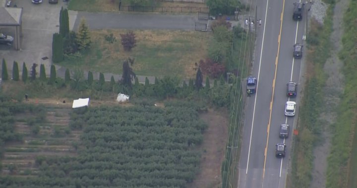 Woman found dead in B.C. field was killed by dogs, not a bear: coroner – BC [Video]