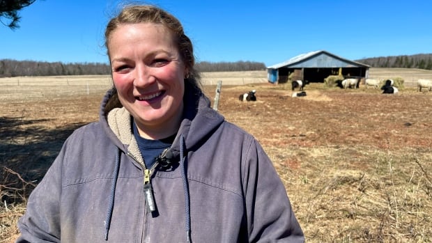 Cattle are boosting the soil on this P.E.I. farm  and fighting climate change [Video]