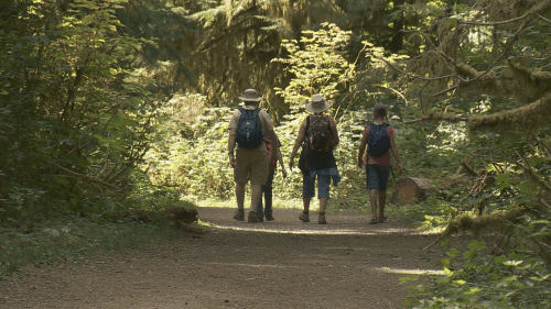 Navigating the outdoors safely while exploring B.C.s trails [Video]
