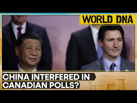 Canada alleges China interfered in elections | WION World DNA [Video]