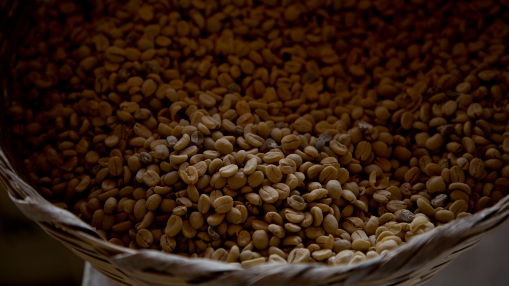 Coffee history: Where arabica beans come from [Video]
