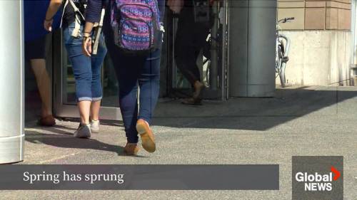 Spring weather makes welcome arrival in N.S. [Video]