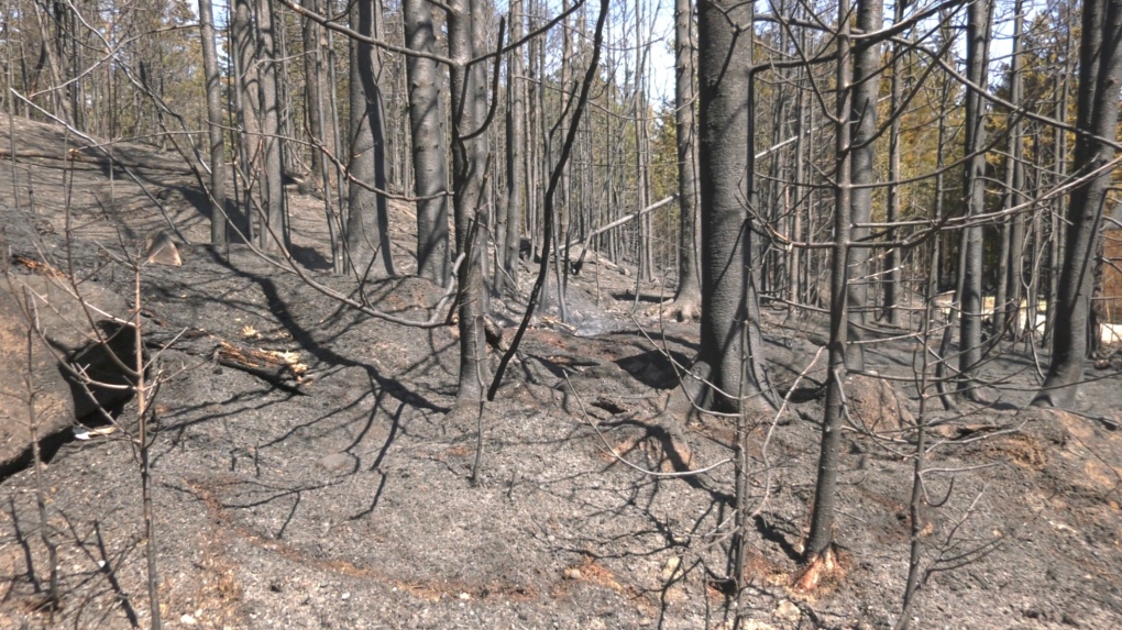 N.B. news: Officials brace for busy wildfire season [Video]