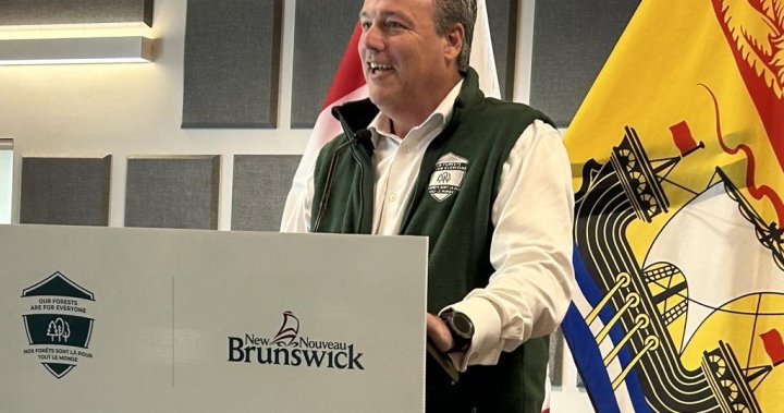 New Brunswick officials say province is ready for wildfire season – New Brunswick [Video]