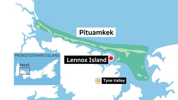 ‘We’re going to be welcoming the world here,’ Lennox Island chief says of new park funding [Video]