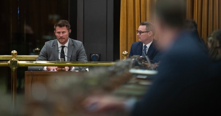 ArriveCan contractor grilled in House of Commons in rare reprimand – National [Video]