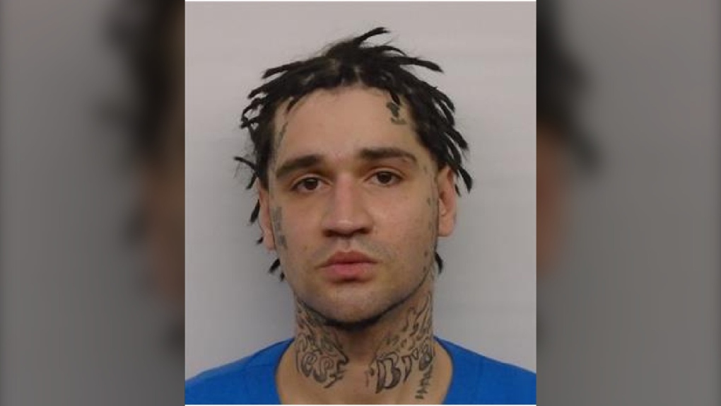 ‘High-risk’ offender in Toronto sought by police [Video]