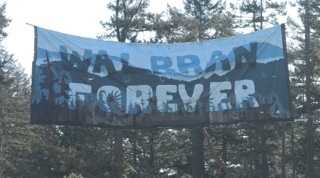 Old-growth forest activists suspend 18-metre banner near Highway 1 [Video]