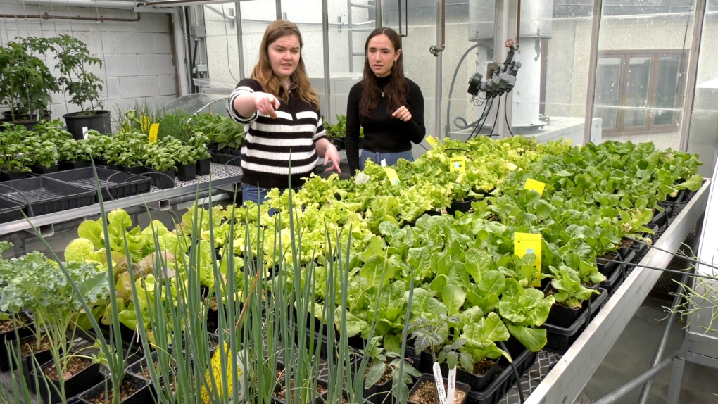 Calgary students growing food to help other students [Video]