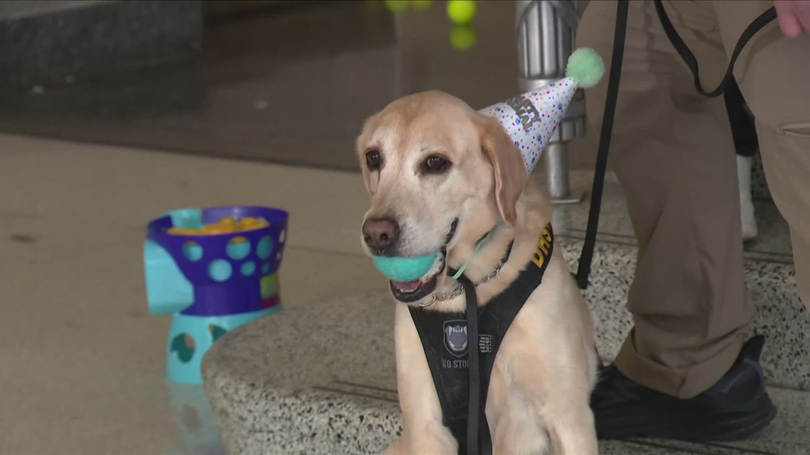 Explosive sniffing K9 Messi retires from TSA at DCA | The Night Cap [Video]
