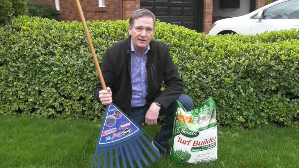 Lawn maintenance tips from experts [Video]