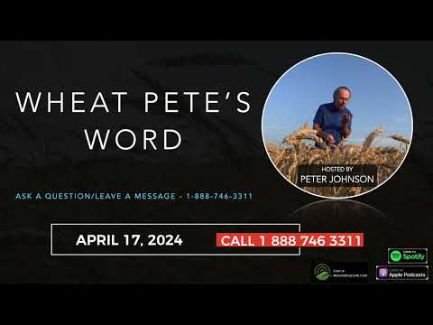 Wheat Pete’s Word, April 17: Nitrogen Q & A, resistant lamb’s quarters, and leadership in action [Video]