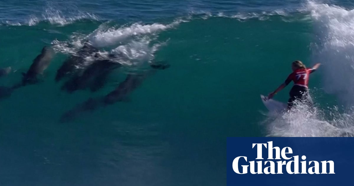 Dolphins ride wave with surfing champion Gabriela Bryan at Margaret River Pro  video | Sport
