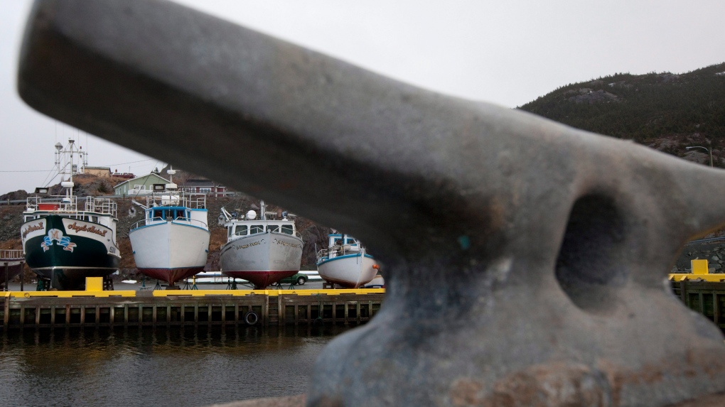 Boat capsizes off west coast of Newfoundland [Video]