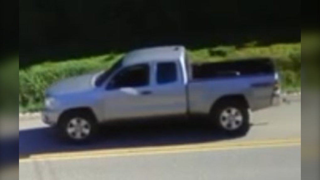 Surrey RCMP ask hit-and-run driver to come forward [Video]