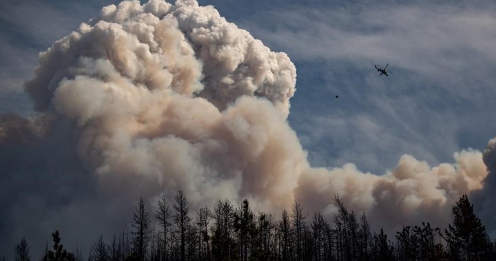 2021 heat dome fuelled by climate change, intensified wildfire risk: study [Video]