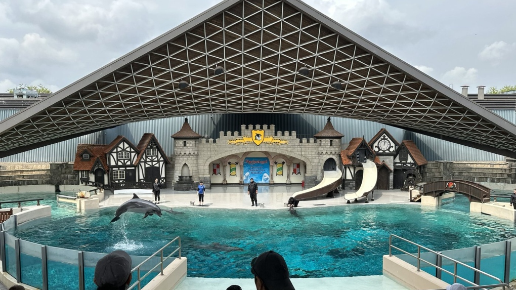 Marineland: new owners incoming for 2024 season [Video]
