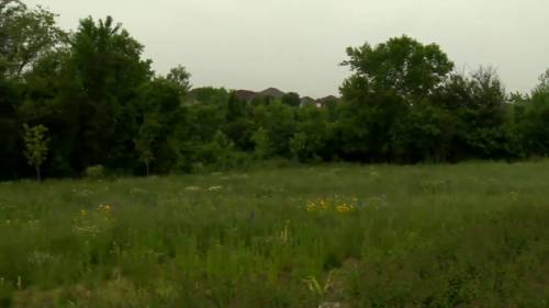 Green Cemetery Project Winnipeg aims to make death more environmentally friendly in Manitoba [Video]