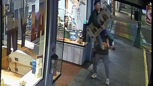 Nanaimo, B.C. video captures failed sign theft attempt