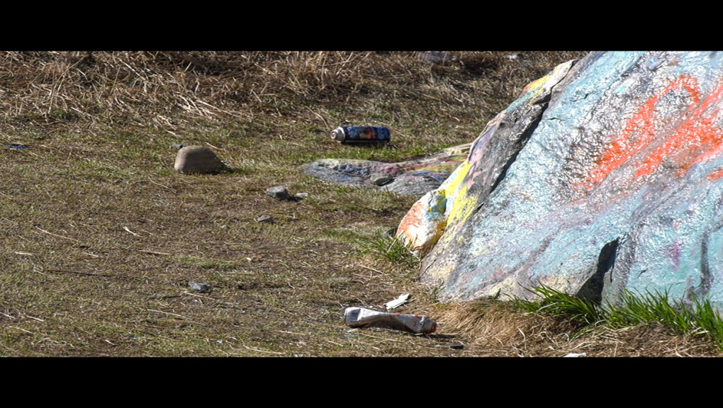 Efforts underway to protect Beddington erratic boulder [Video]