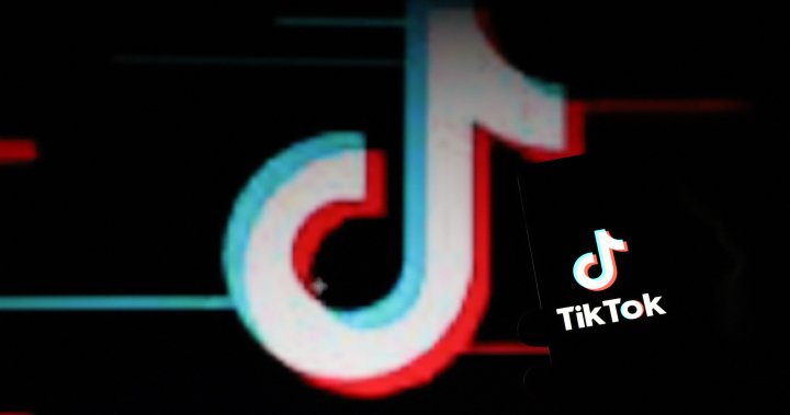 TikTok vows to sue over potential U.S. ban. Whats the legal outlook? – National [Video]