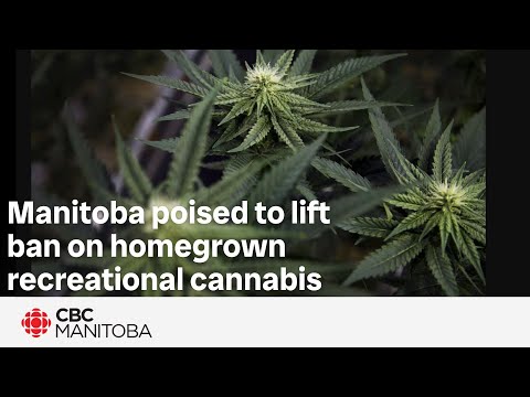 Manitoba poised to lift ban on homegrown recreational cannabis | FULL PRESS CONFERENCE [Video]