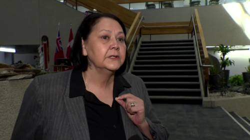 Calls grow for a school trustee resignation in Dauphin [Video]