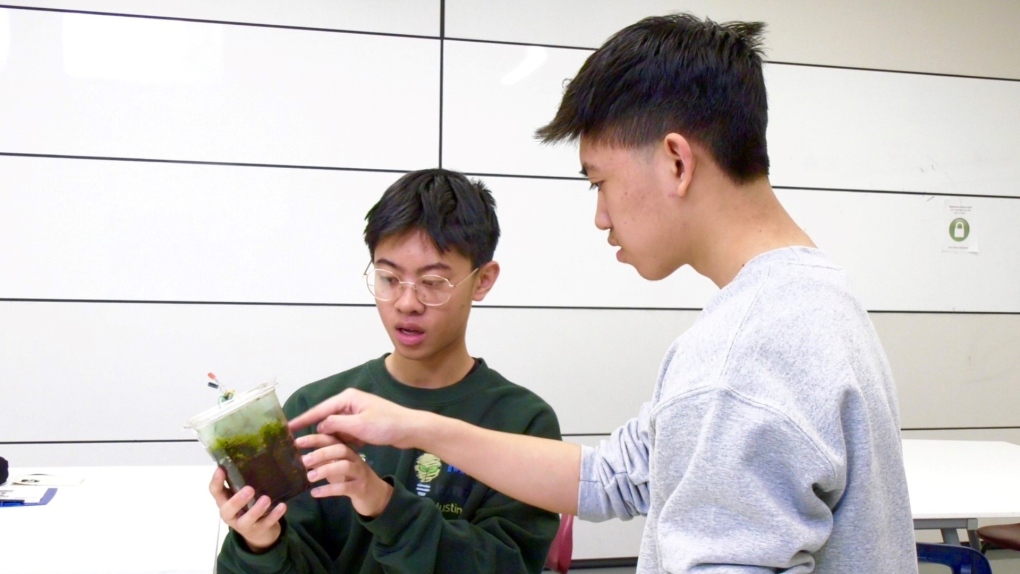 Calgary brothers teach students about microbial fuel cell tech [Video]