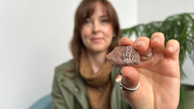 This P.E.I. woman was looking for sea glass. She found a fossil that may be nearly 300 million years old [Video]