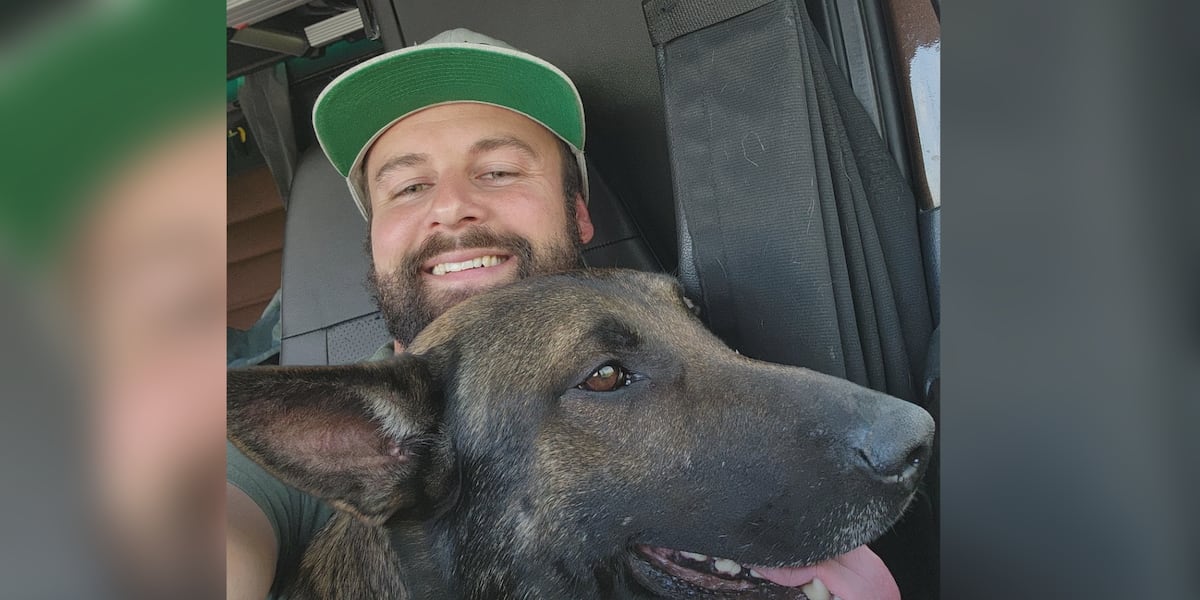 When I lost him, my life just stopped. Community rallies to help truck driver find lost dog [Video]