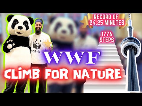 WWF CN TOWER Climb 🐼 🏃 World Record 🏆  My 1st Outdoor Event in 🇨🇦 [Video]